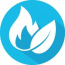 Icon mit einer Flamme und einem Blatt, steht für grünes Gas.